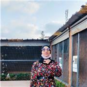 Maîtriser le français est votre quête ? Rejoins-moi pour un apprentissage speed et de qualité !